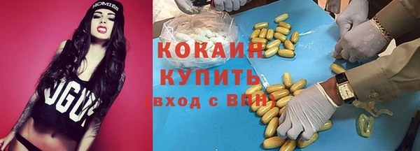 PSILOCYBIN Заводоуковск