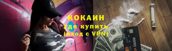 PSILOCYBIN Заводоуковск