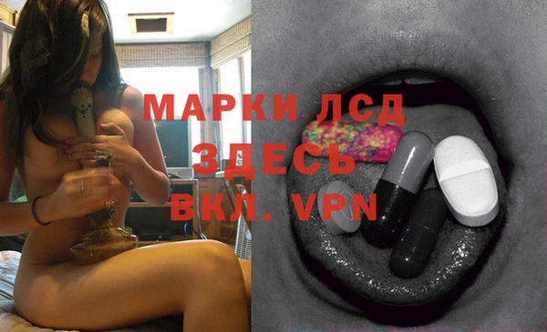 PSILOCYBIN Заводоуковск