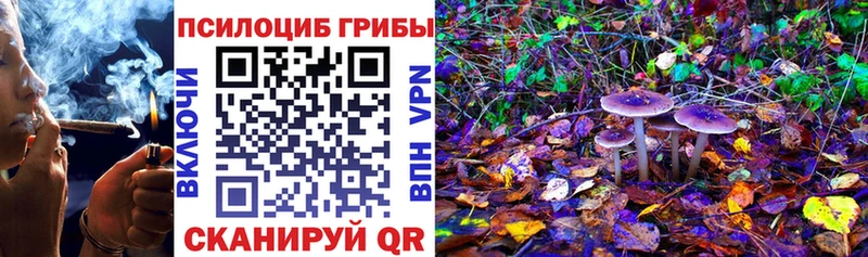 Купить где  Плавск  Псилоцибиновые грибы Magic Shrooms 